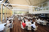 国际基督教大学