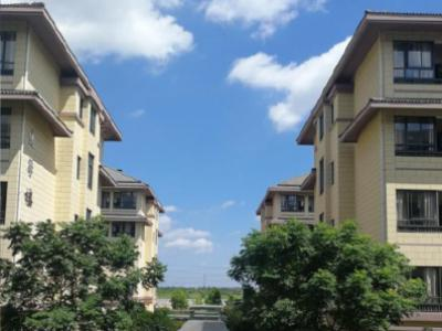 杭二树兰高中新加坡国际班