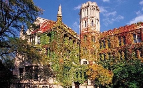 芝加哥大学