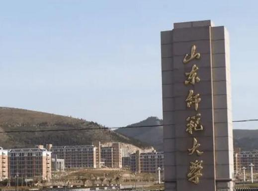 山东师范大学学校代码是10445(学校代码)