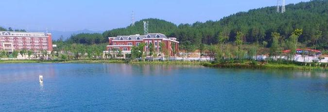 广元天立国际学校初中部2020年学费、收费多少