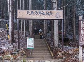 中级（N2、N3级)