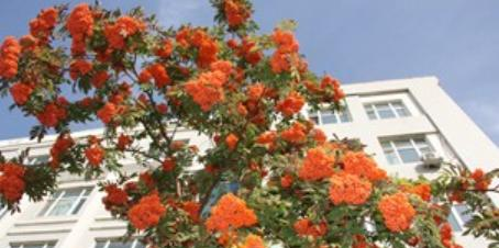 黑龙江生态工程职业学院单招2020年单独招生报名时间、入口