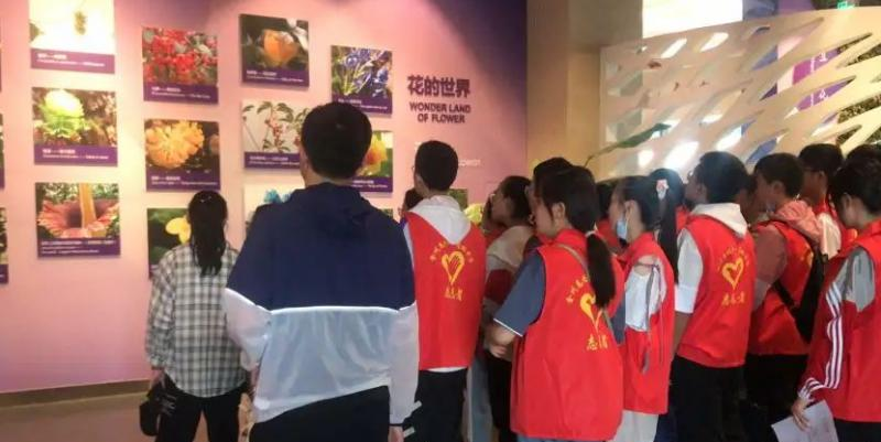 金川总校高级中学