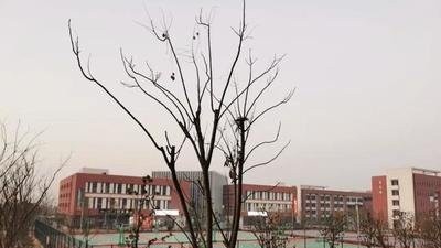 云南省曲靖应用技术学校2022年有哪些专业