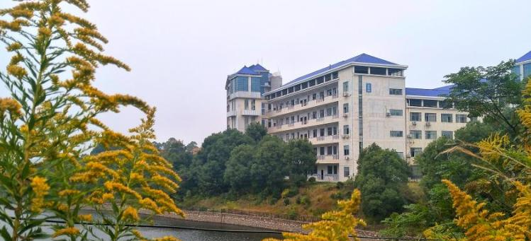 截图20200420145223