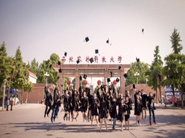 校园风景（二）