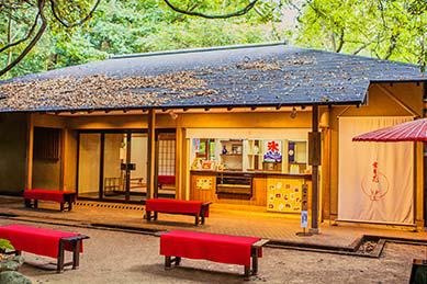 日本旅游