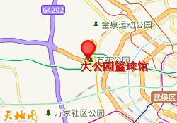 大公园篮球馆
