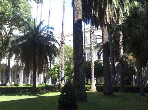 那不勒斯第二大学