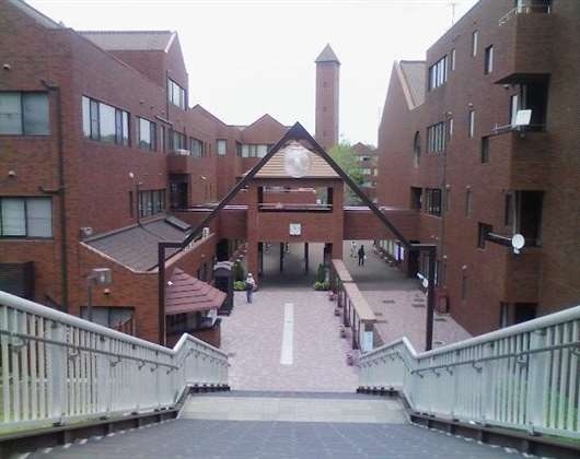 天理大学