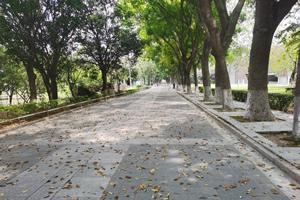 汕头大学出国留学校园环境校园一角