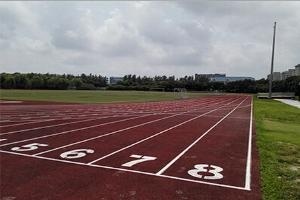 美国Lee Academy操场