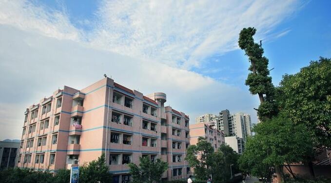 重庆安全技术职业学院2020年报名条件、招生要求、招生对象