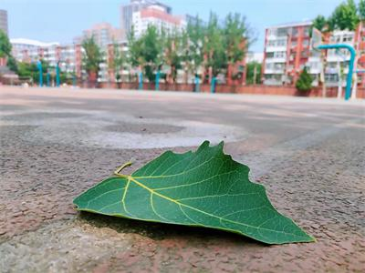 北京工商大学国际教育学院