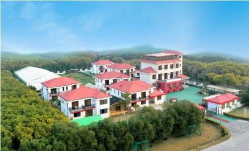 朝阳义塾日本高中