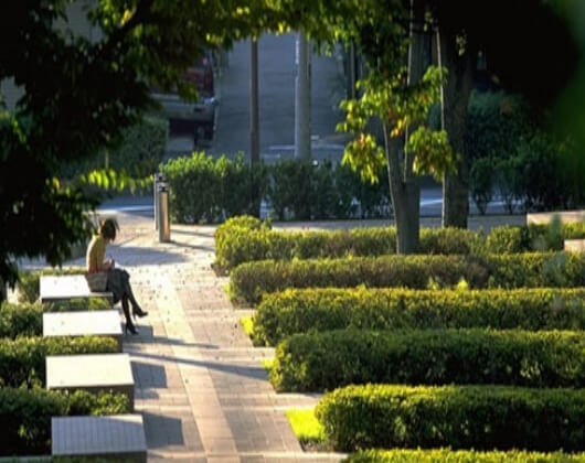 东京外国语大学