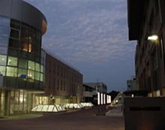 就实大学