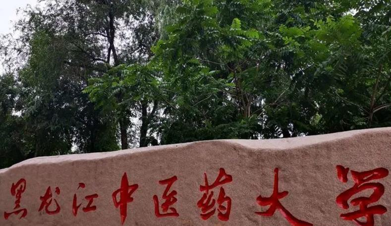 黑龙江中医药大学是不是985大学？