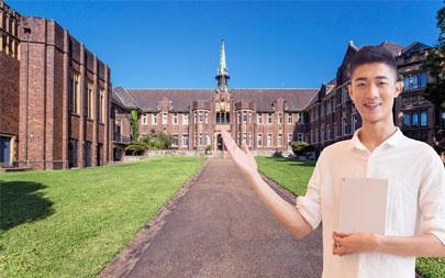 学习文化