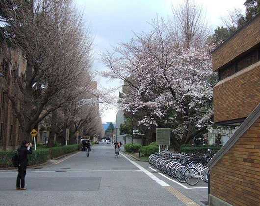 京都大学