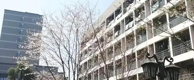 杭州第四中学国际部靠谱吗