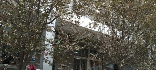 河南新闻出版学校2021年学费、收费多少