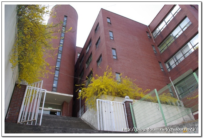 釜山外国语大学