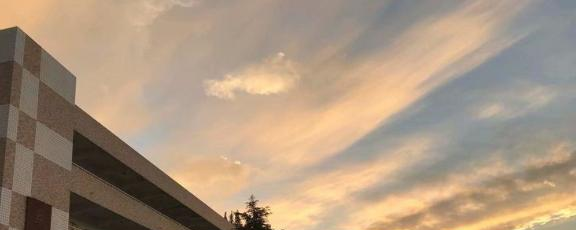 西安第三十八中学2020年学费、收费多少