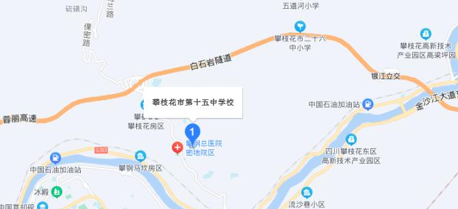 攀枝花市第十五中学地址在哪里