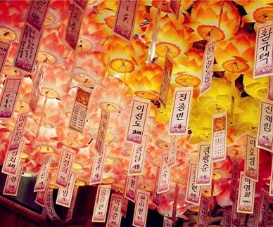 南京日韩道为你解答疑惑