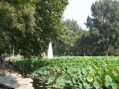 北京航空航天大学校园一角