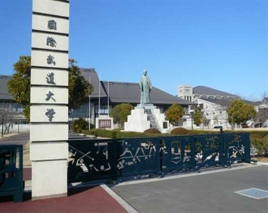 国际武道大学