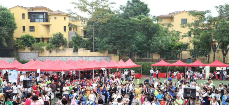 深圳曦城协同国际学校2023年课程体系2