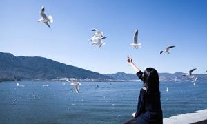 不断发现不断创造