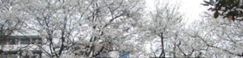 福泉中学