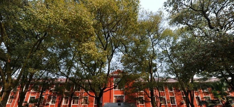 湖南生物机电职业技术学院2019年单招录取分数线