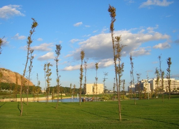 里奥哈大学