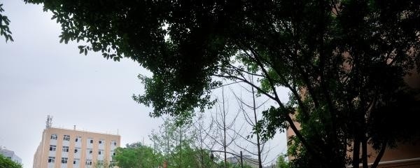 资阳师范学校五年制大专收费情况