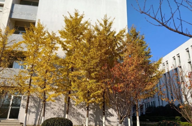 安徽省宿州逸夫师范学校