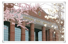 韩东国际大学