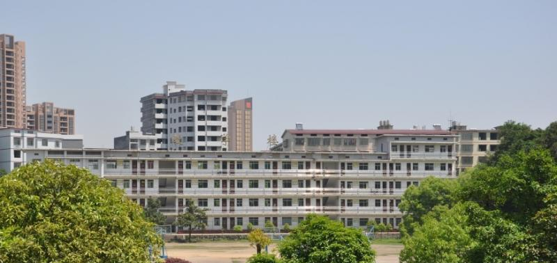 湖南耒阳师范学校2020年有哪些专业