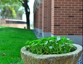 长沙南北艺术学校