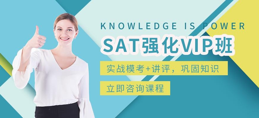 SAT强化VIP3人班
