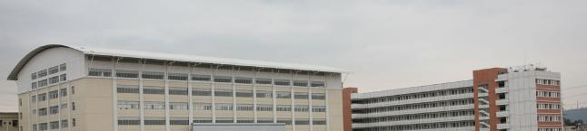 东莞体育运动学校