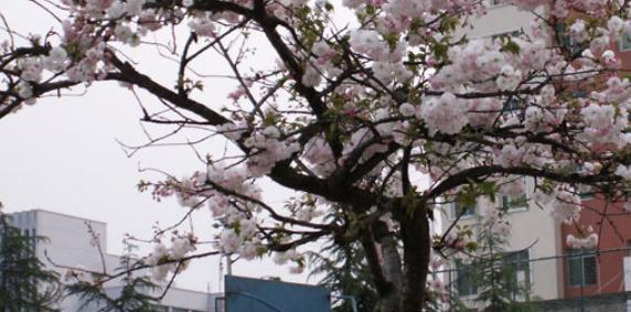 贵州工业职业技术学院2023年招生代码