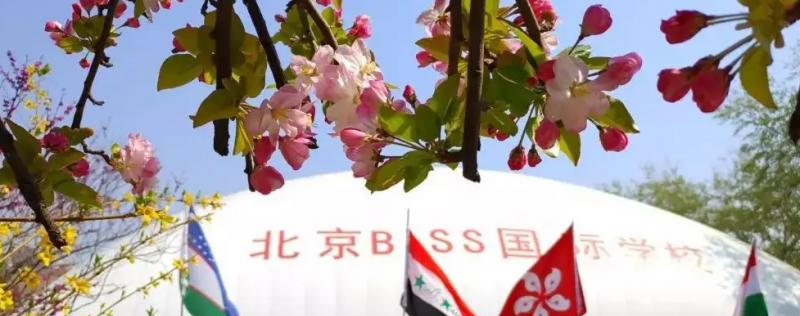 北京BISS国际学校2023年课程体系