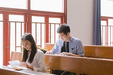 在校成绩良好但分数提高遇到瓶颈，需要通过科学训练提高的学生