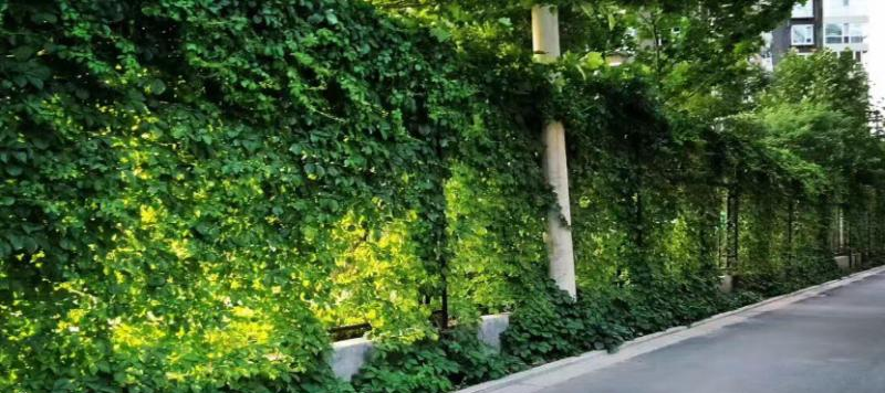 山西省实验中学2023年报名条件、招生要求、招生对象