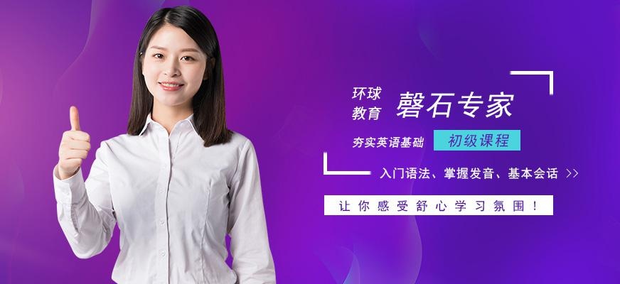 广州环球磬石专家服务计划初级课程配图